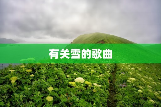 有关雪的歌曲