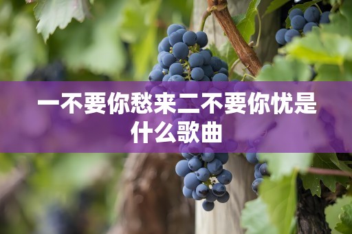 一不要你愁来二不要你忧是什么歌曲