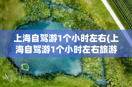 上海自驾游1个小时左右(上海自驾游1个小时左右旅游)
