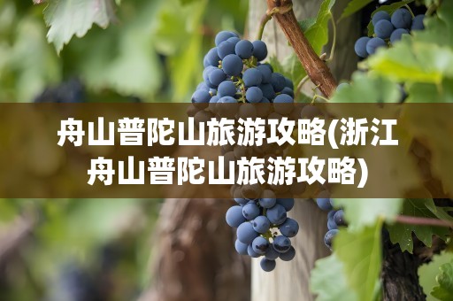舟山普陀山旅游攻略(浙江舟山普陀山旅游攻略)