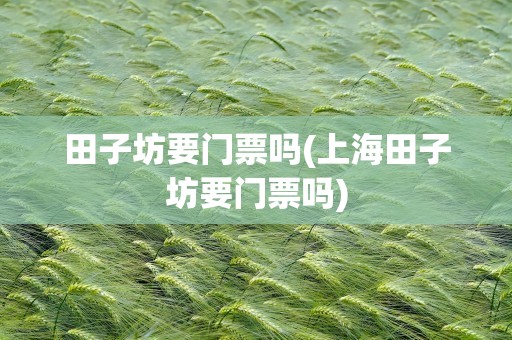 田子坊要门票吗(上海田子坊要门票吗)