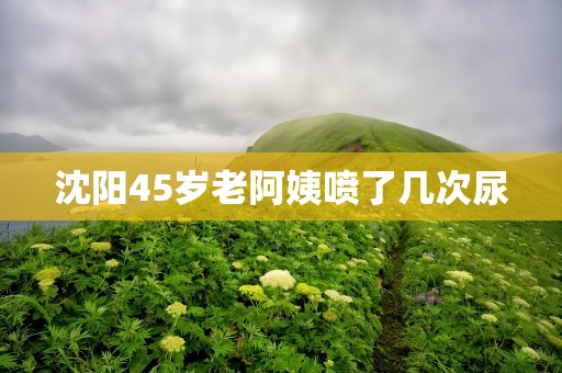 沈阳45岁老阿姨喷了几次尿