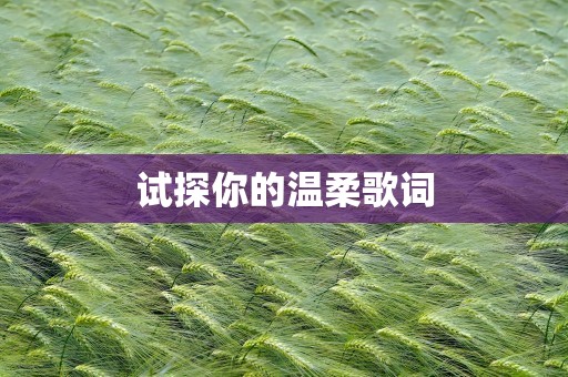 试探你的温柔歌词