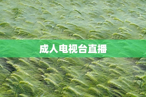 成人电视台直播