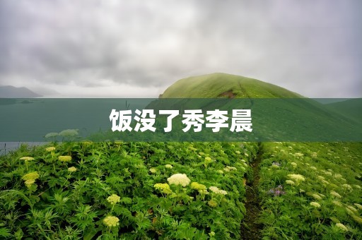 饭没了秀李晨