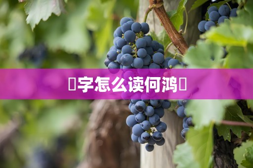 燊字怎么读何鸿燊