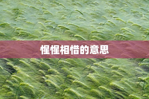 惺惺相惜的意思