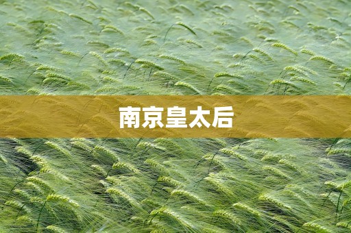 南京皇太后