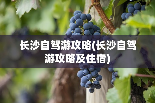 长沙自驾游攻略(长沙自驾游攻略及住宿)
