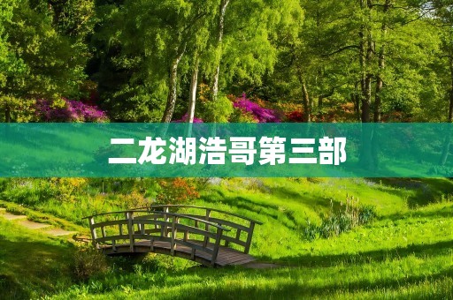 二龙湖浩哥第三部