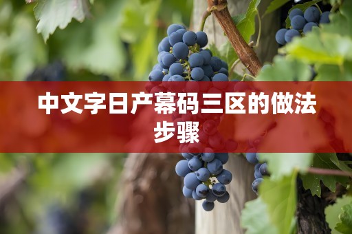 中文字日产幕码三区的做法步骤