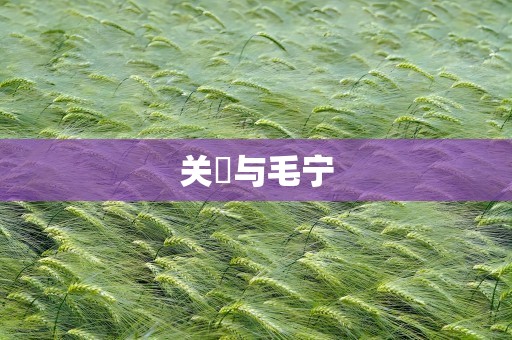 关喆与毛宁