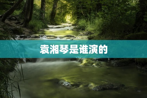 袁湘琴是谁演的