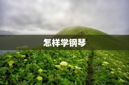 怎样学钢琴