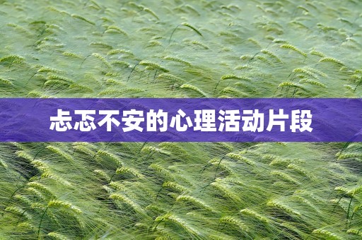 忐忑不安的心理活动片段