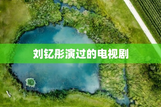 刘钇彤演过的电视剧