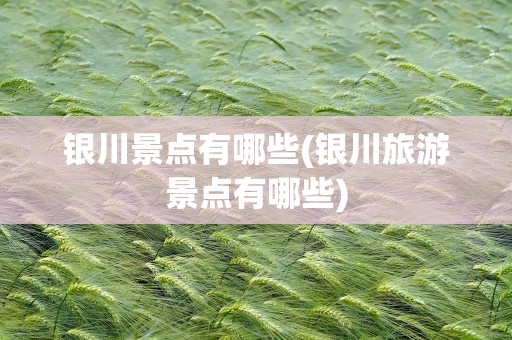 银川景点有哪些(银川旅游景点有哪些)