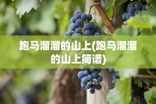 跑马溜溜的山上(跑马溜溜的山上简谱)