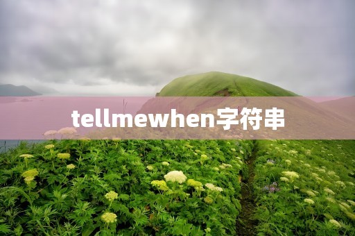 tellmewhen字符串