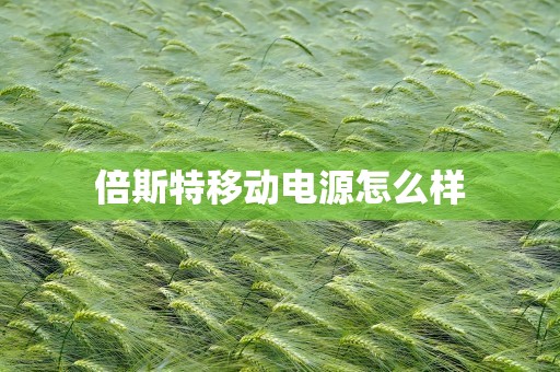 倍斯特移动电源怎么样
