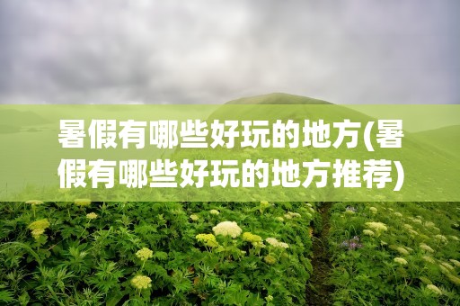 暑假有哪些好玩的地方(暑假有哪些好玩的地方推荐)