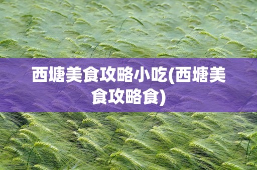 西塘美食攻略小吃(西塘美食攻略食)