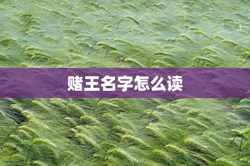 赌王名字怎么读