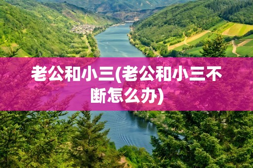 老公和小三(老公和小三不断怎么办)