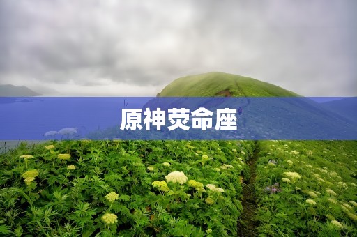 原神荧命座