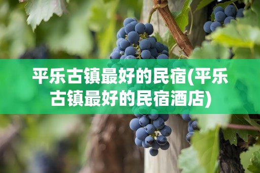平乐古镇最好的民宿(平乐古镇最好的民宿酒店)