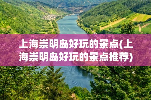 上海崇明岛好玩的景点(上海崇明岛好玩的景点推荐)