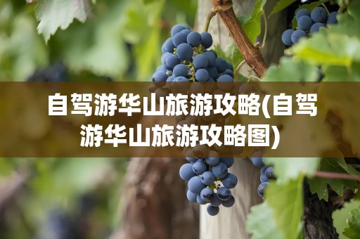 自驾游华山旅游攻略(自驾游华山旅游攻略图)