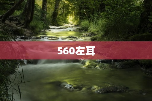 560左耳