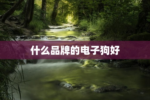 什么品牌的电子狗好