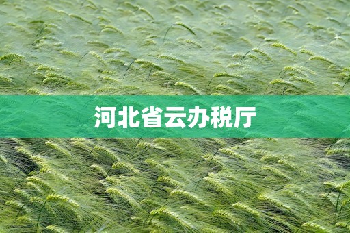 河北省云办税厅