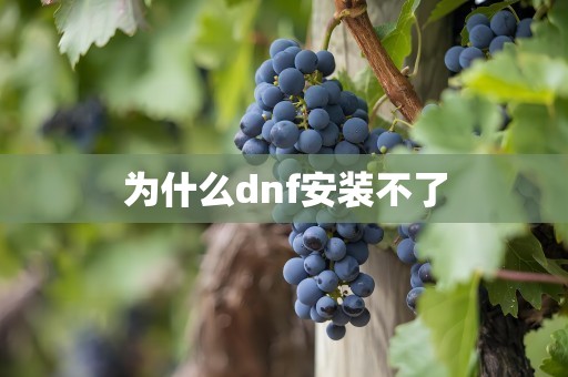 为什么dnf安装不了