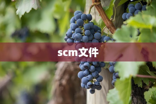 scm文件