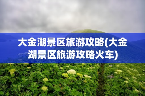 大金湖景区旅游攻略(大金湖景区旅游攻略火车)
