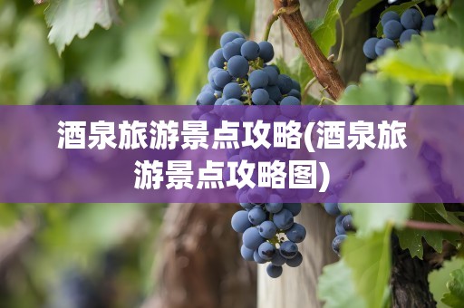 酒泉旅游景点攻略(酒泉旅游景点攻略图)