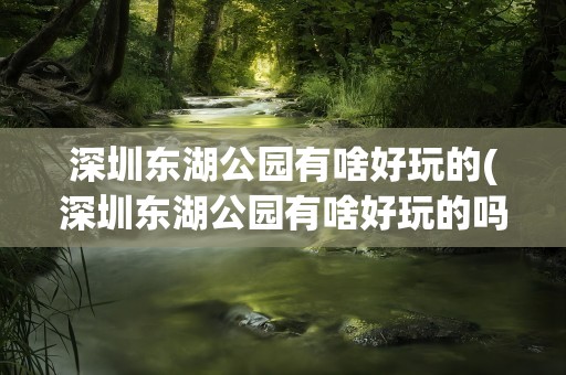 深圳东湖公园有啥好玩的(深圳东湖公园有啥好玩的吗)