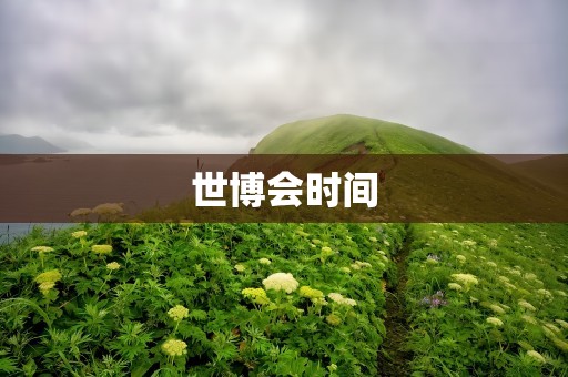 世博会时间