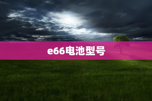 e66电池型号