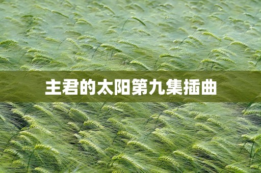 主君的太阳第九集插曲
