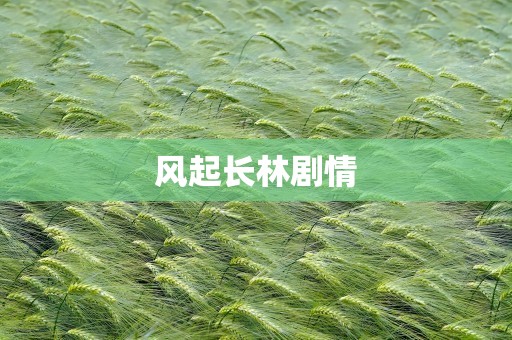 风起长林剧情