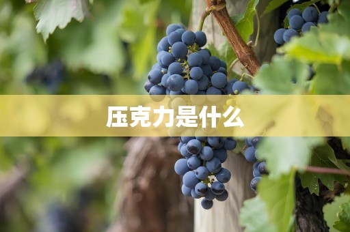 压克力是什么
