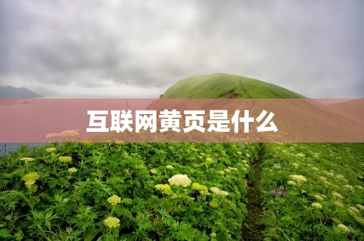 互联网黄页是什么