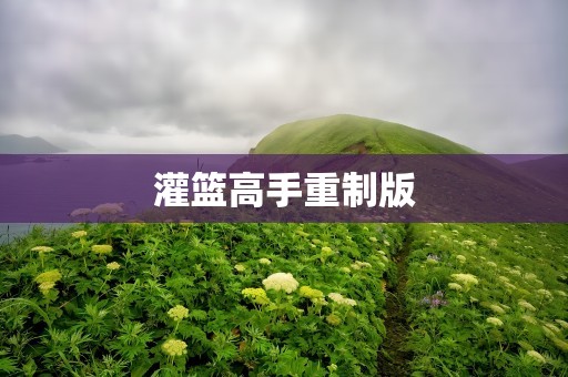 灌篮高手重制版