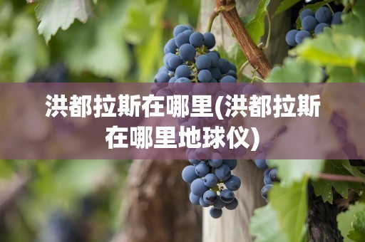 洪都拉斯在哪里(洪都拉斯在哪里地球仪)