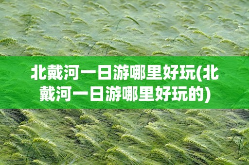 北戴河一日游哪里好玩(北戴河一日游哪里好玩的)
