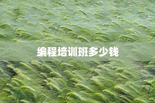 编程培训班多少钱